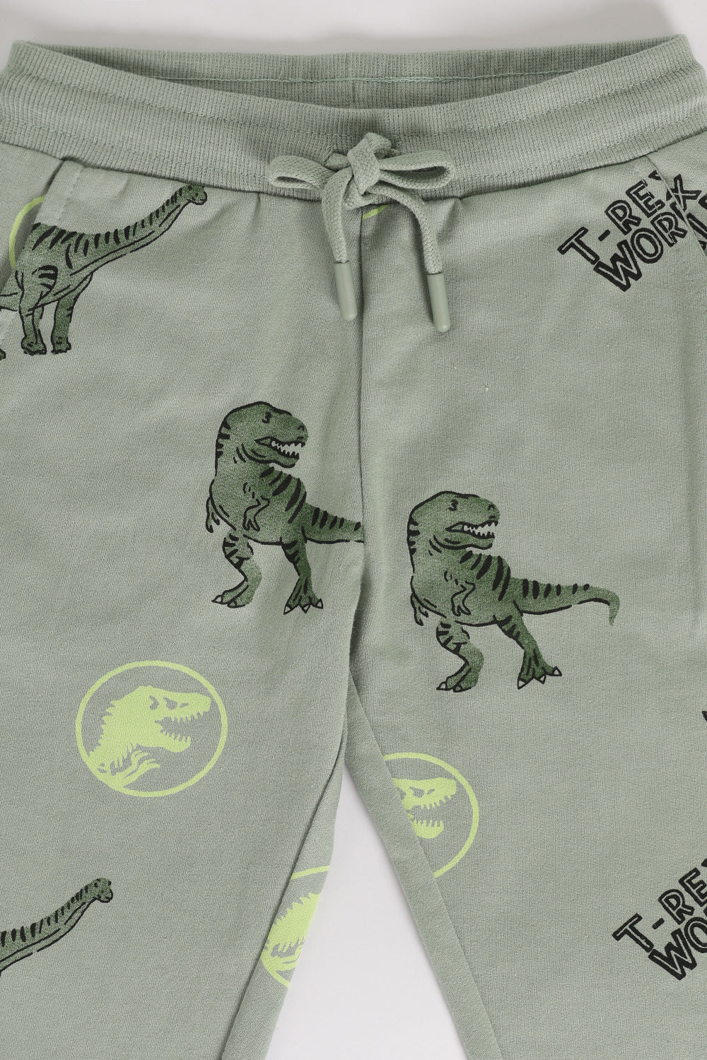 Green Dinosaur Printed Regular Fit Jogger With 2 Pocket