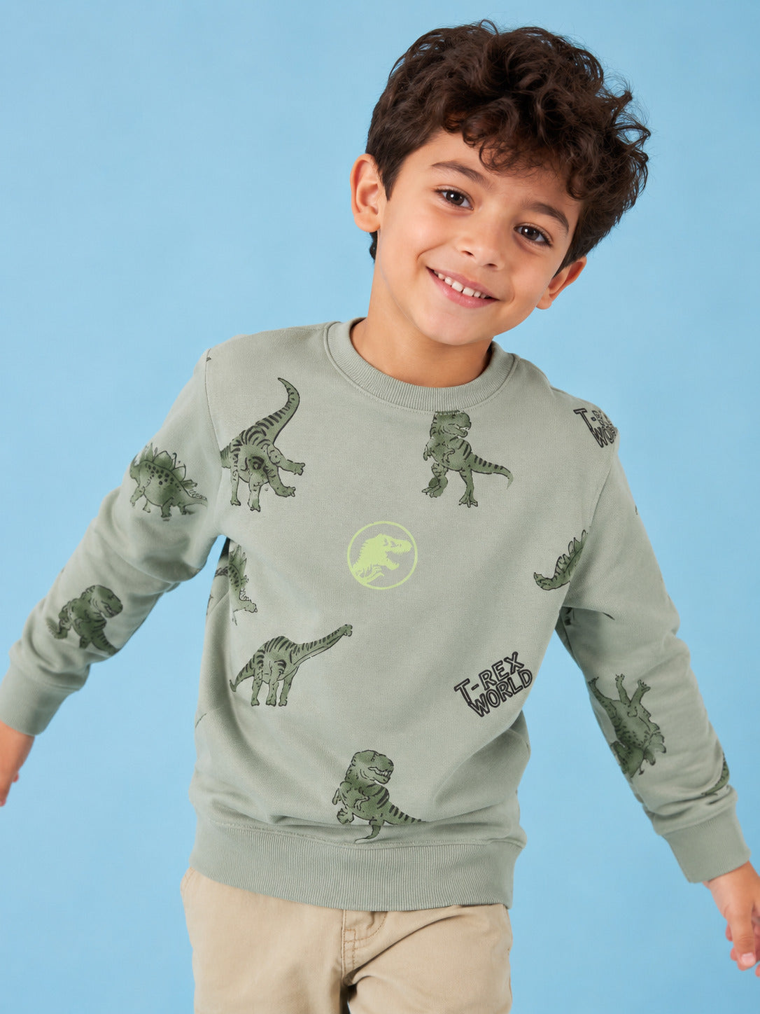 Green Dinosaur Printed Regular Fit Sweatshirt