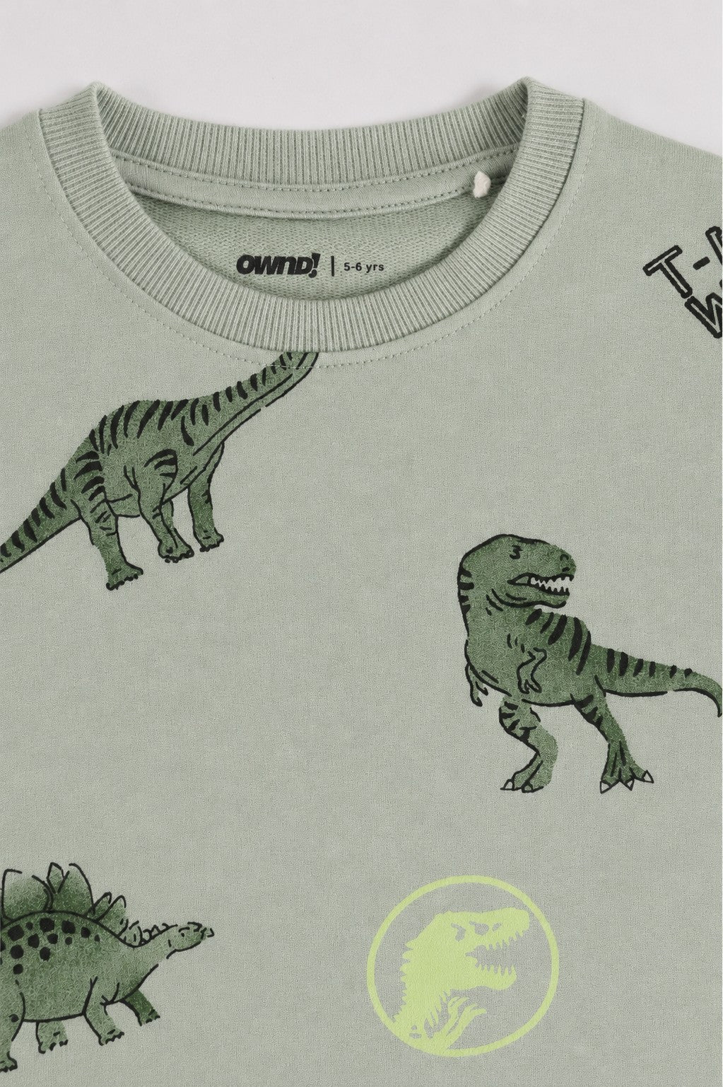Green Dinosaur Printed Regular Fit Sweatshirt