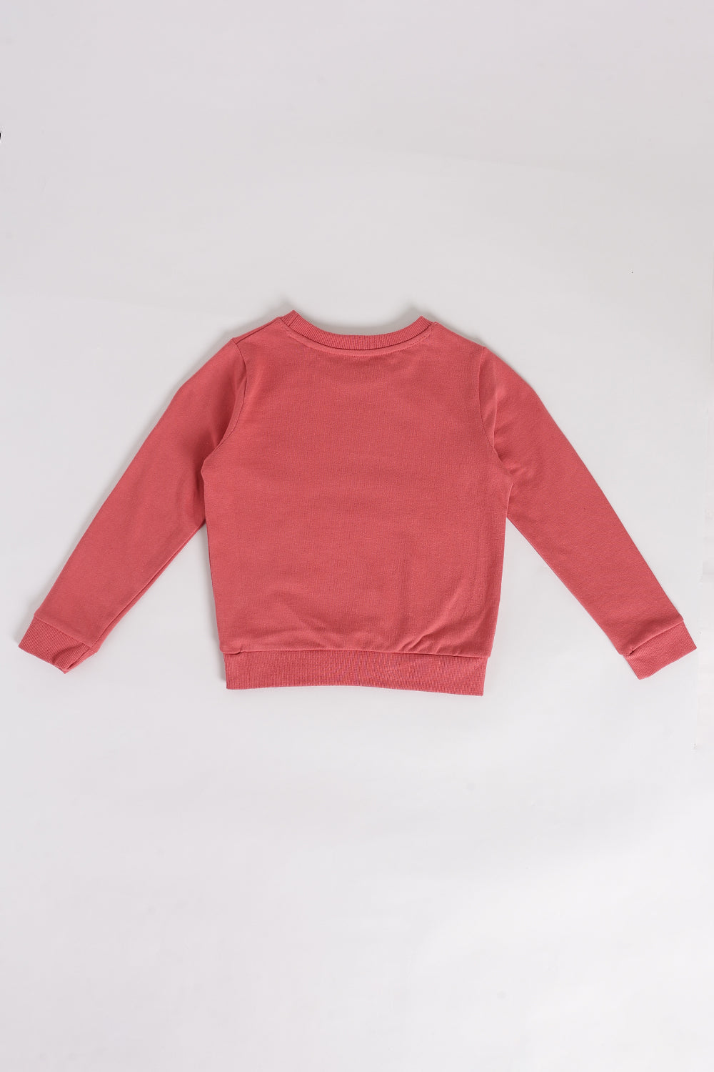 Rust Character Based Regular Fit Sweatshirt