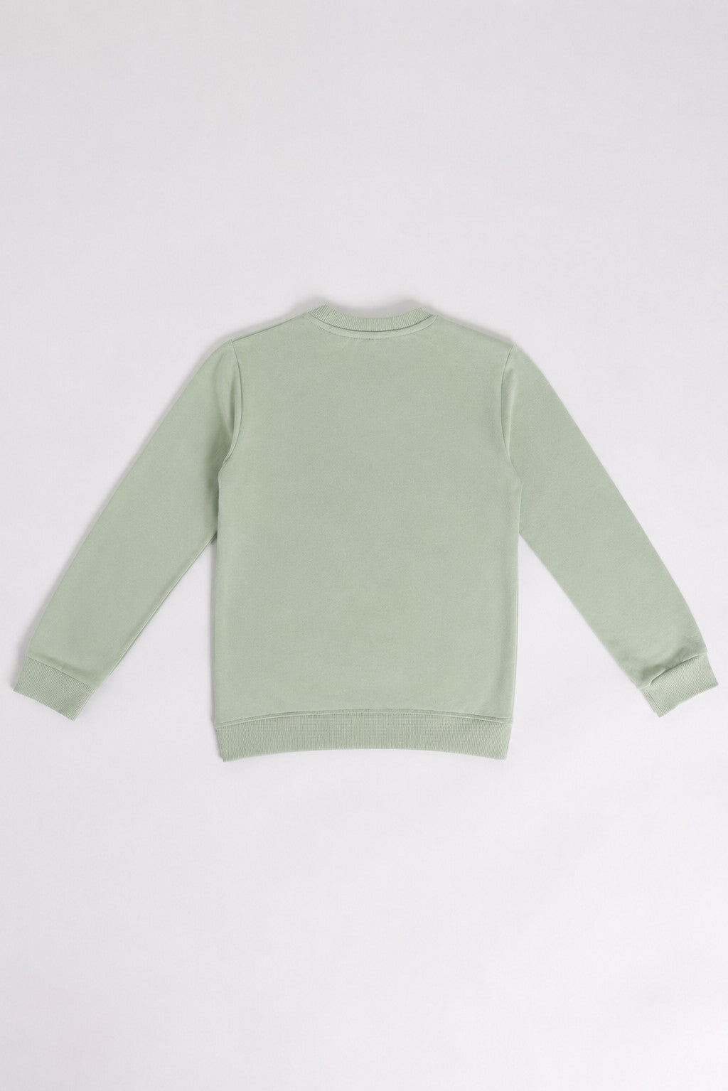 Green Graphic Regular Fit Sweatshirt