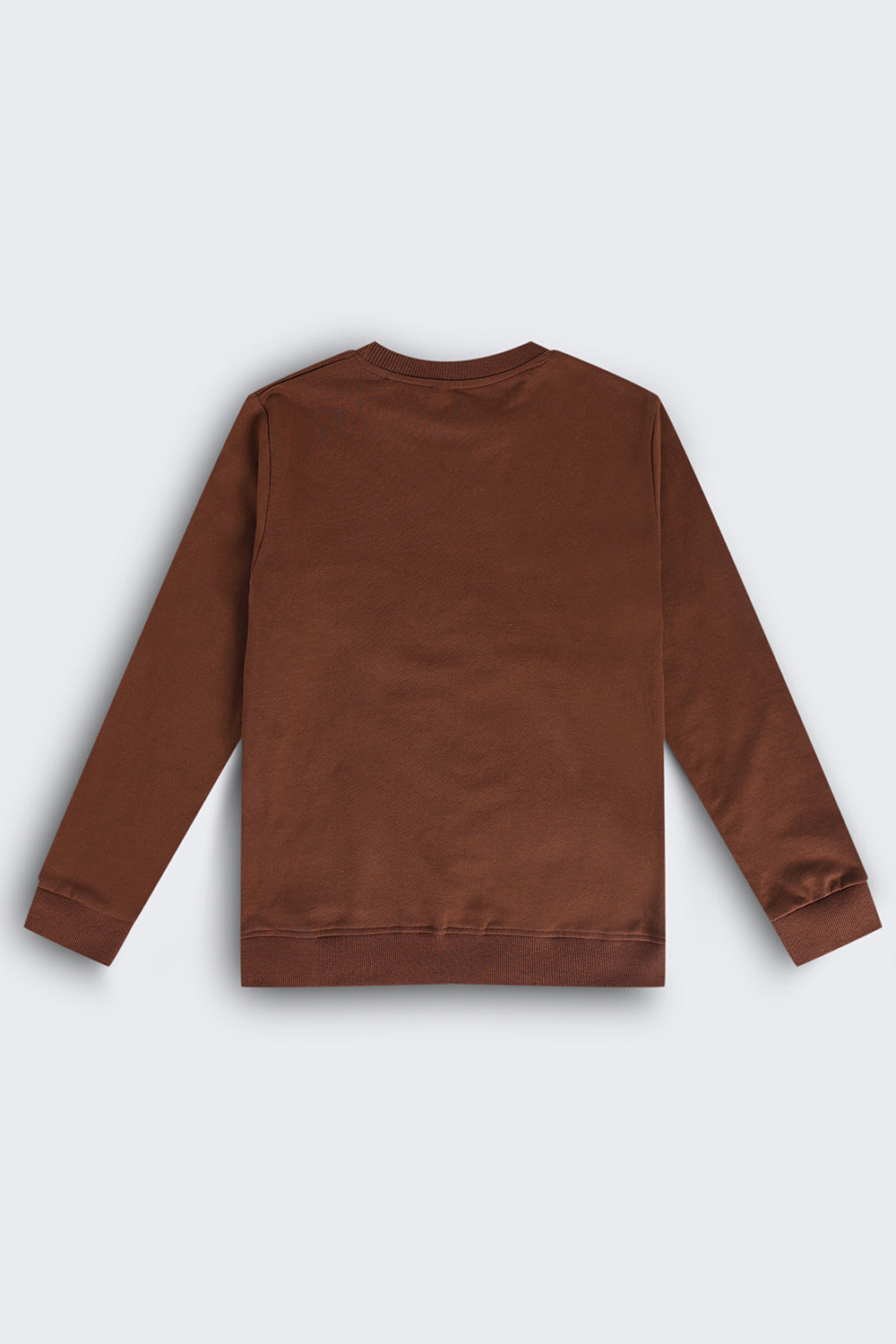 Tweens Boys Brown Graphic Regular Fit Sweatshirt