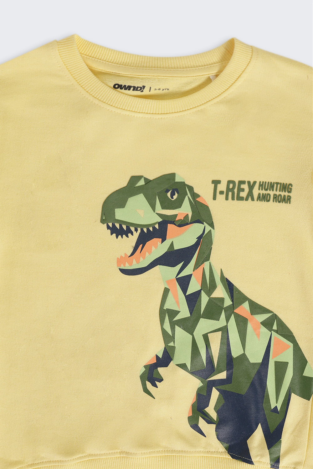 Yellow Dinosaur Print Regular Fit Sweatshirt For Boys