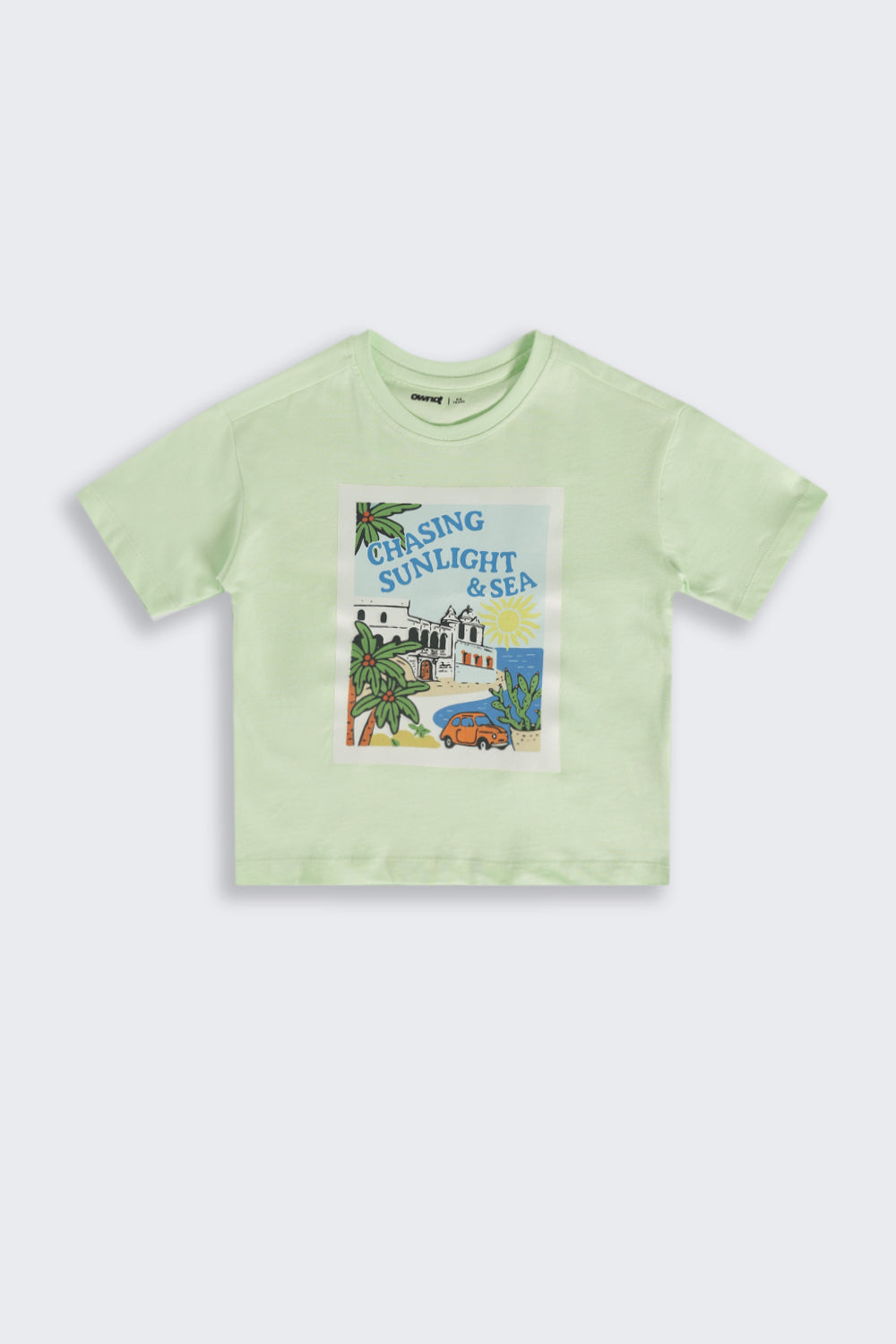 Light Green Graphic Regular Fit T-Shirt For Boys