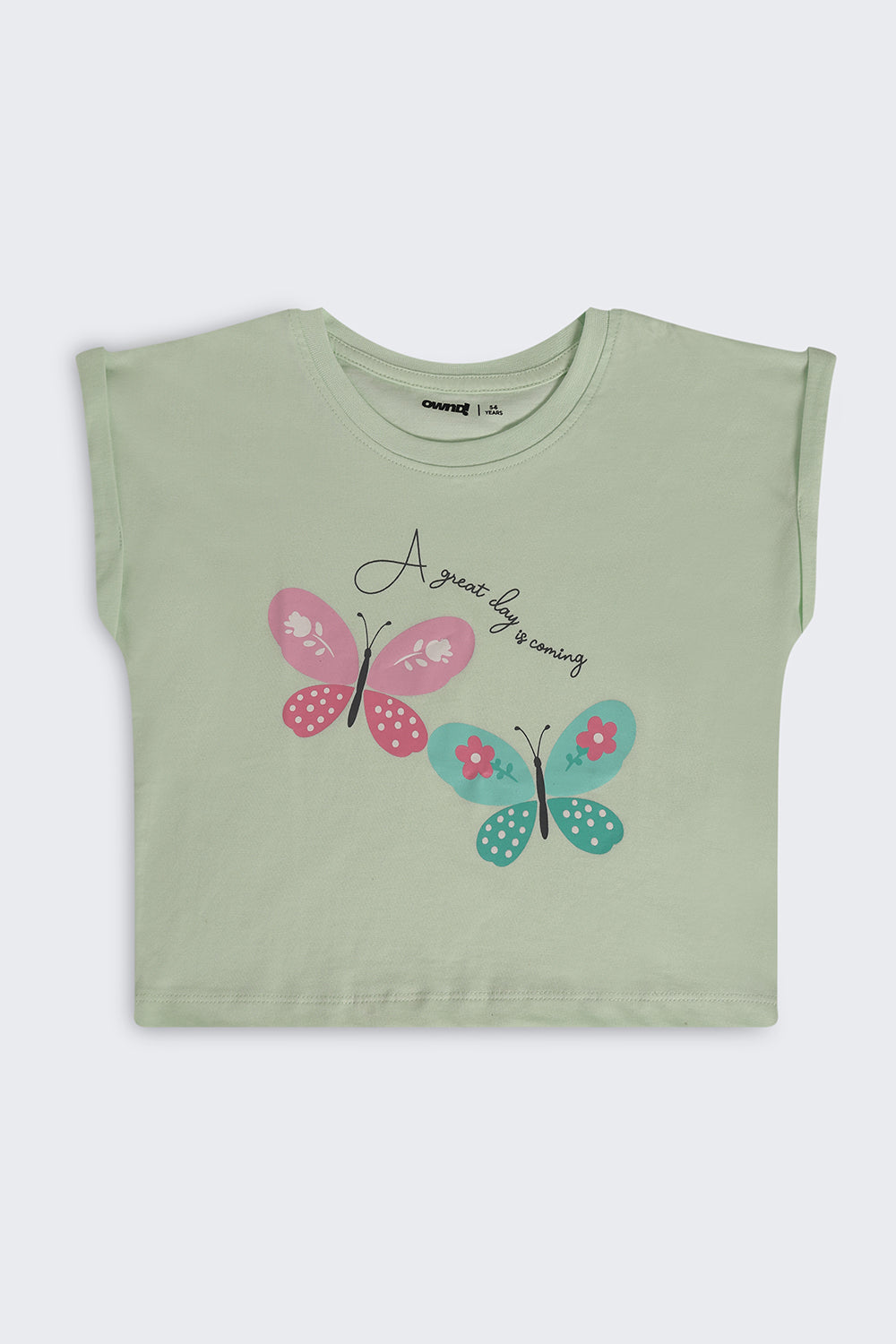Light Green Butterfly Graphic Boxy Fit T-Shirt For Girls