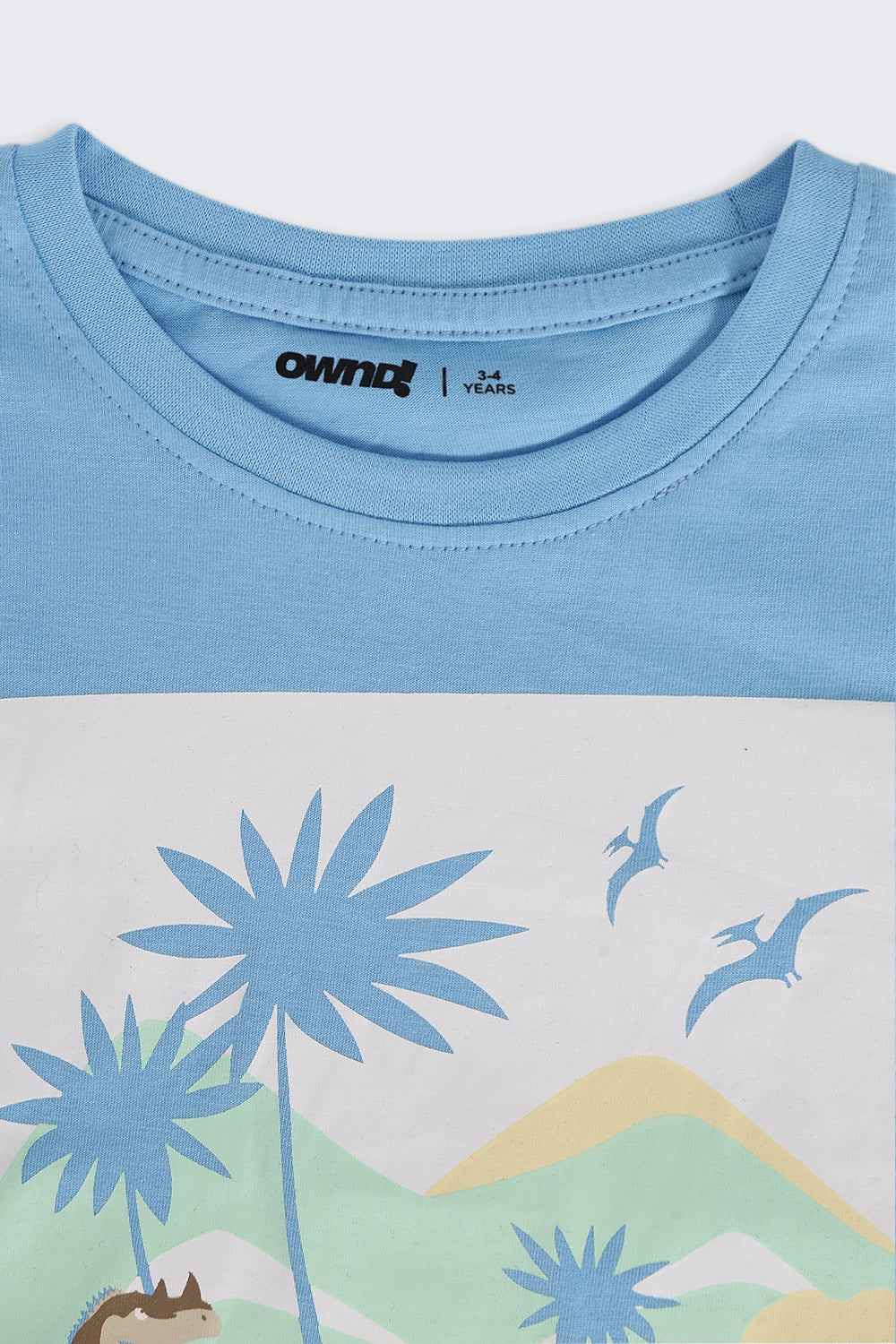 Boys Regular Fit Light Blue Tropical Beach Graphic T-Shirt