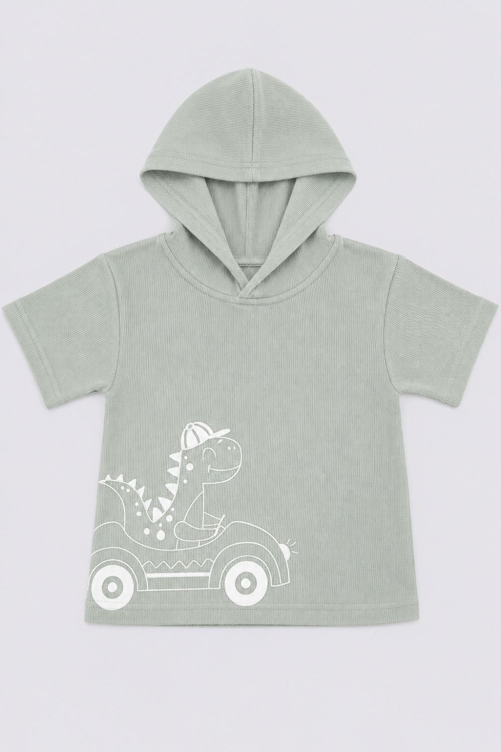 Infant Boys Green Dinosaur Embroidered Co-ord Sets