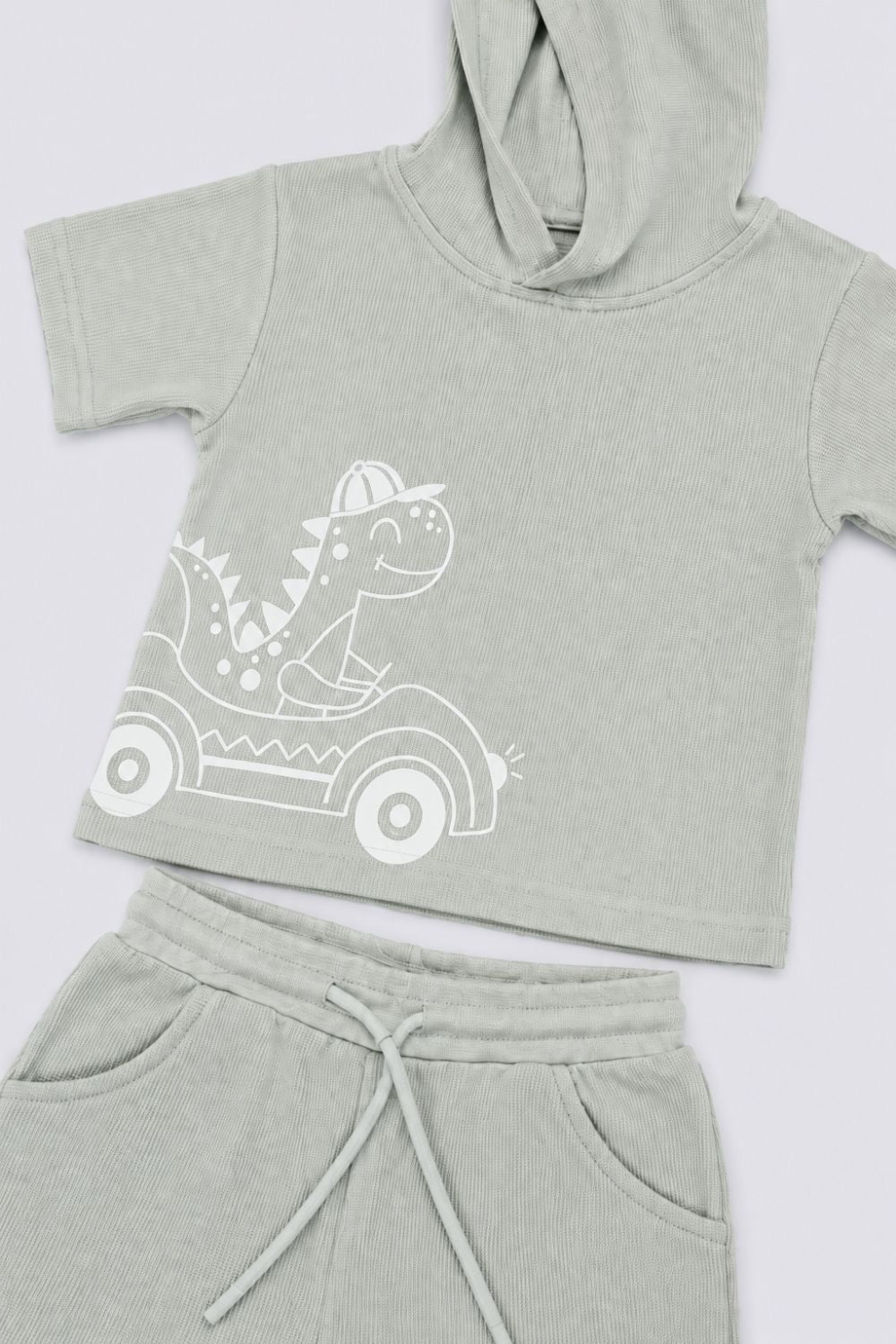 Infant Boys Green Dinosaur Embroidered Co-ord Sets