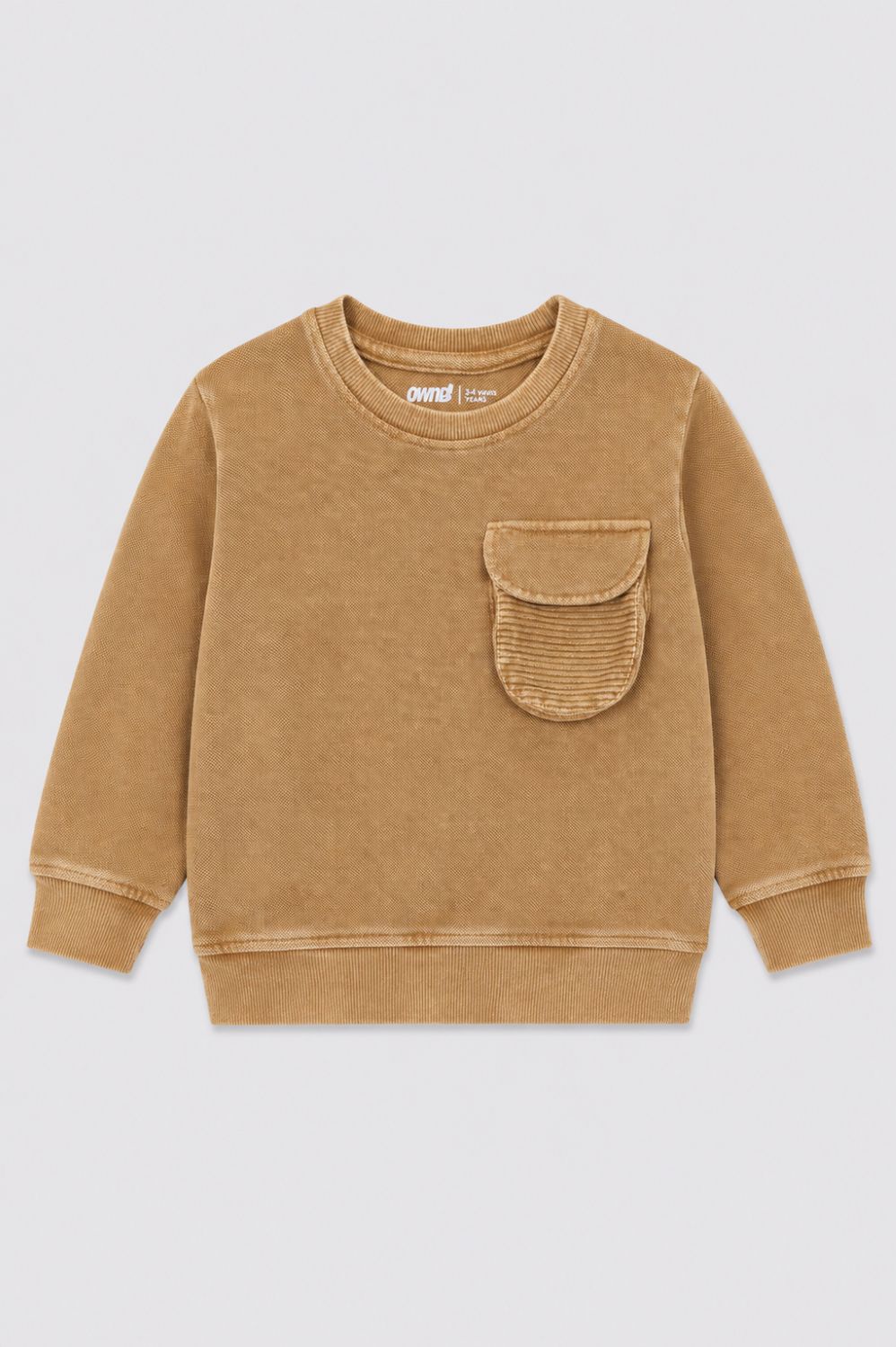 Boys Regular Fit Tan Solid Sweatshirt