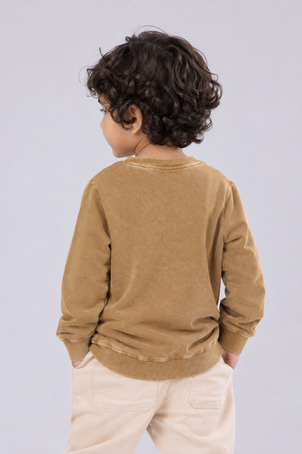 Boys Regular Fit Tan Solid Sweatshirt