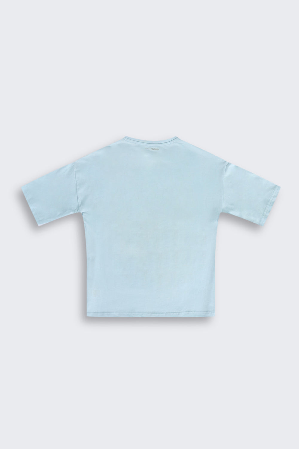 Blue Cotton Regular Fit T-Shirt