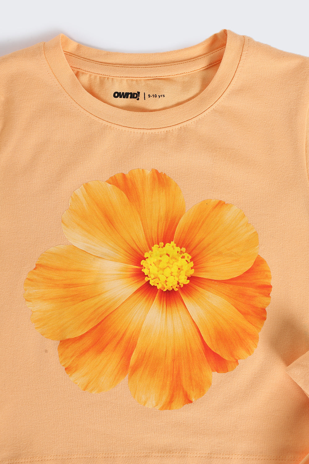 Orange Cotton Blend Regular Fit T-Shirt