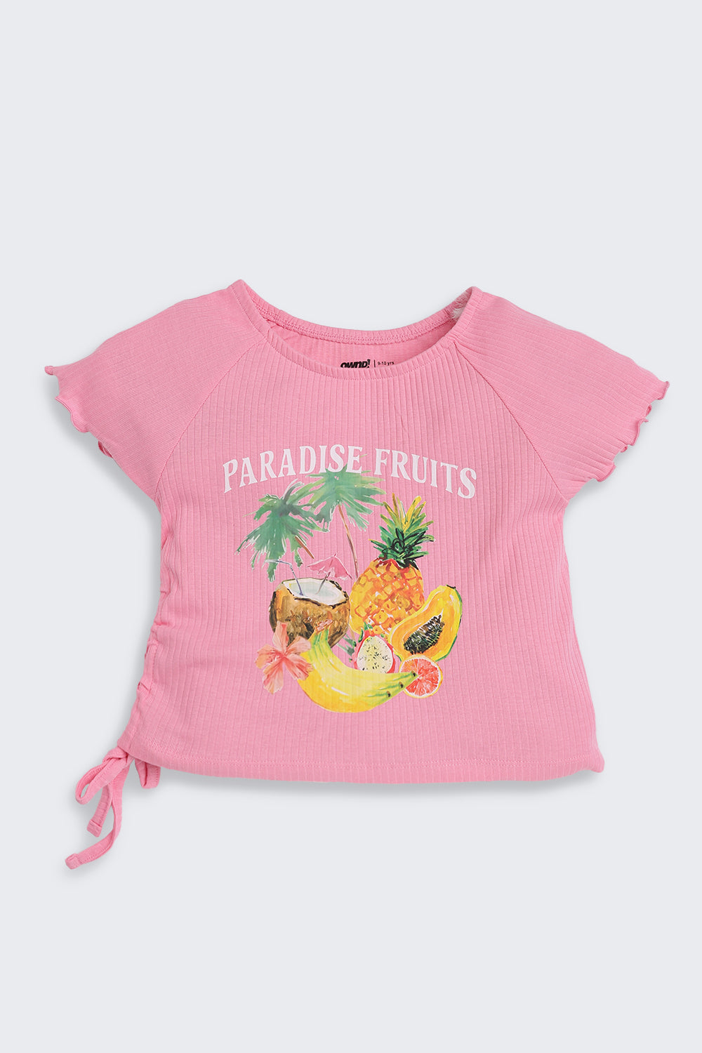 Pink Fruits Printed Regular Fit Top
