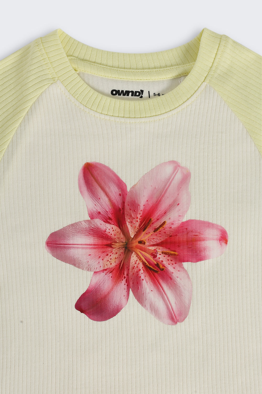 Off White Floral Graphic Cotton Regular Fit T-Shirt