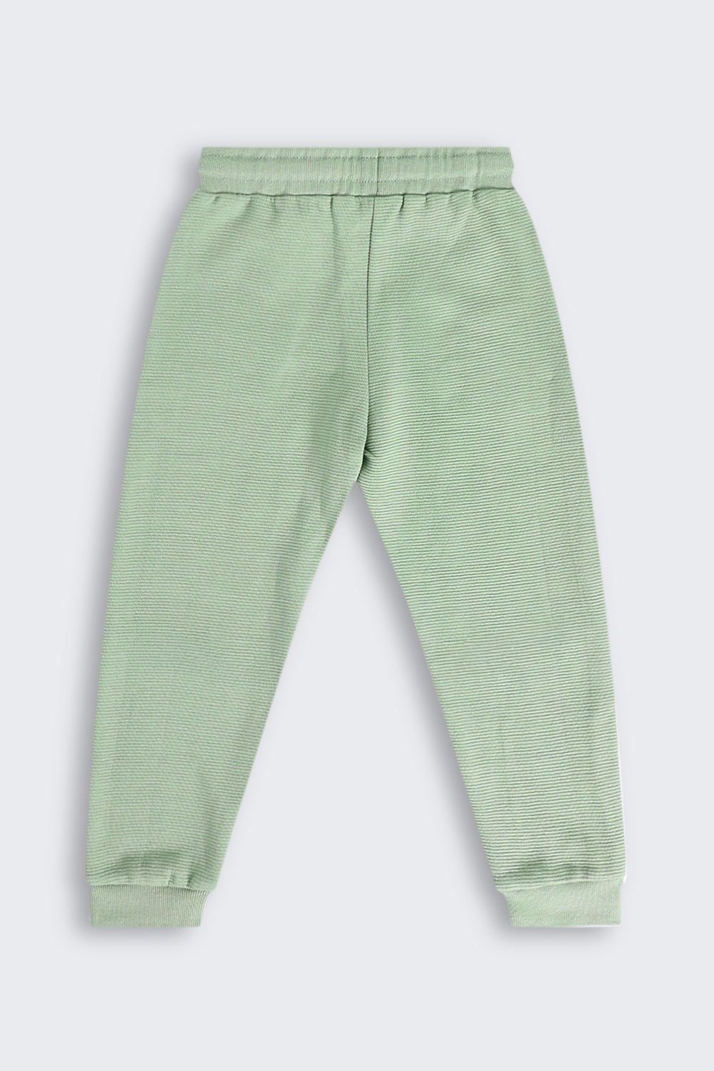 Olive Regular Fit Jogger With 2 Pocket