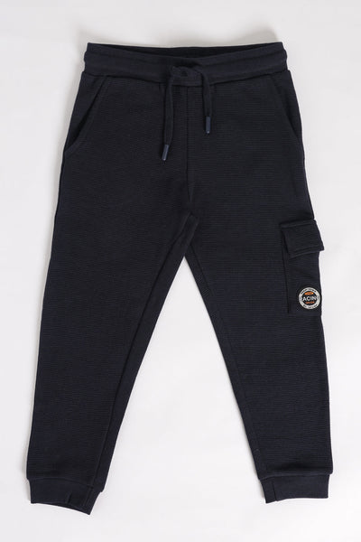 Navy Regular Fit Jogger With 3 Pocket