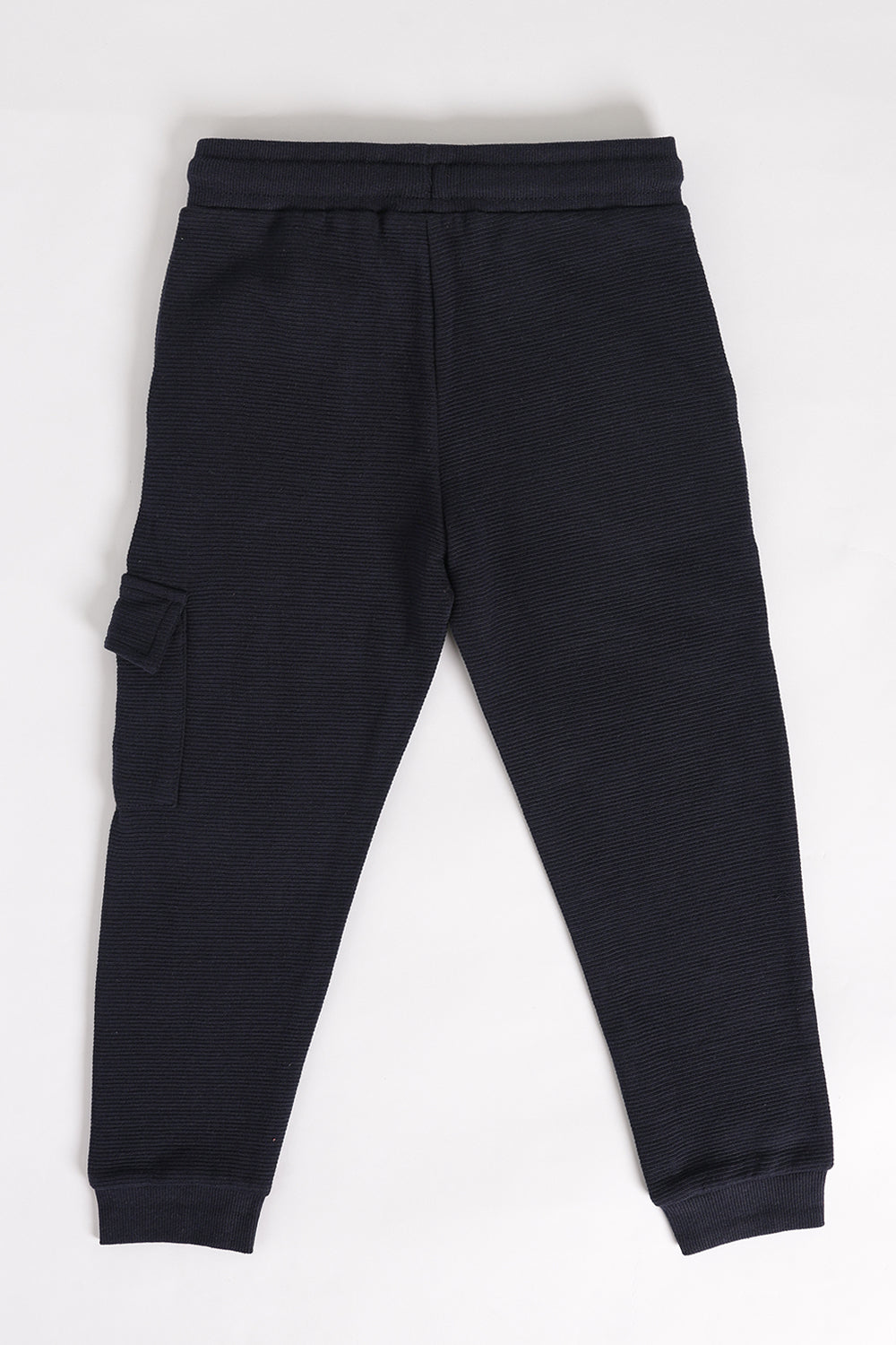 Navy Regular Fit Jogger With 3 Pocket