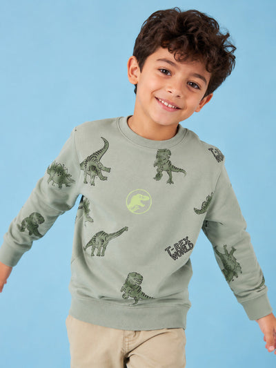 Green Dinosaur Printed Regular Fit Sweatshirt