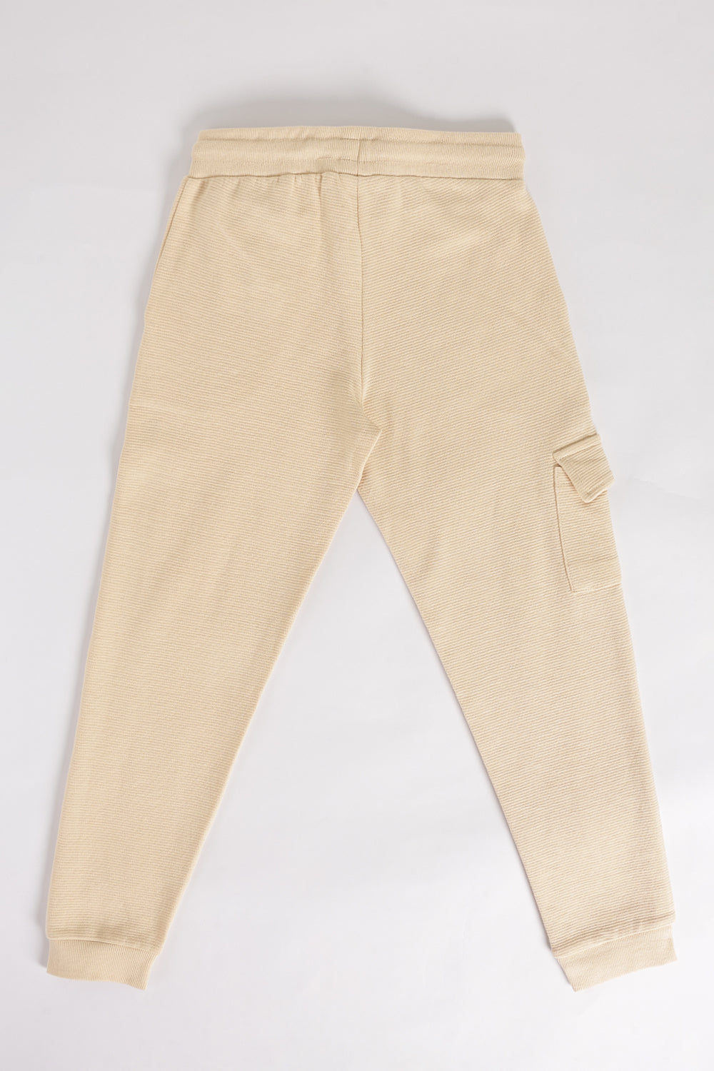 Beige Regular Fit Jogger With 3 Pocket