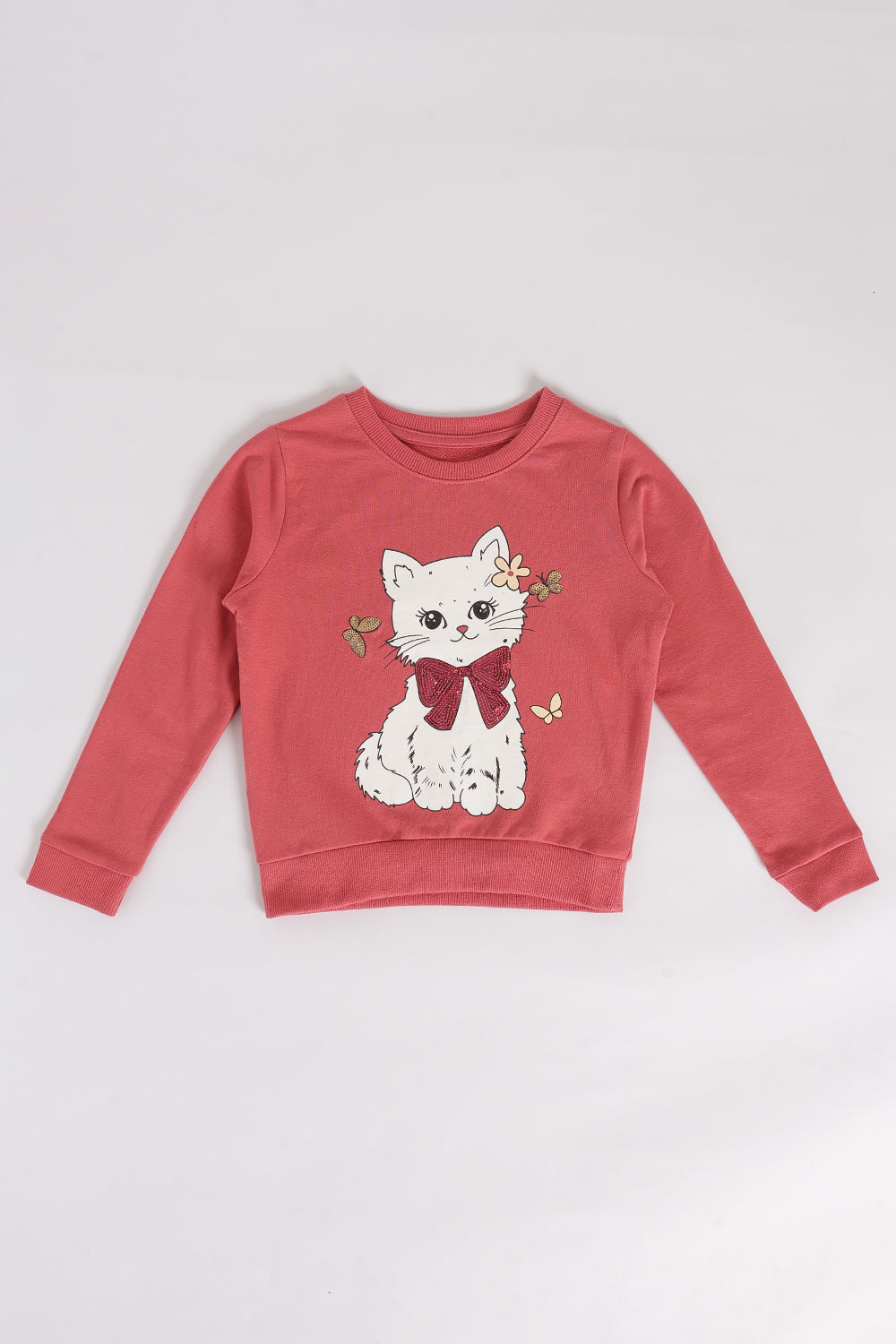 Rust Character Based Regular Fit Sweatshirt