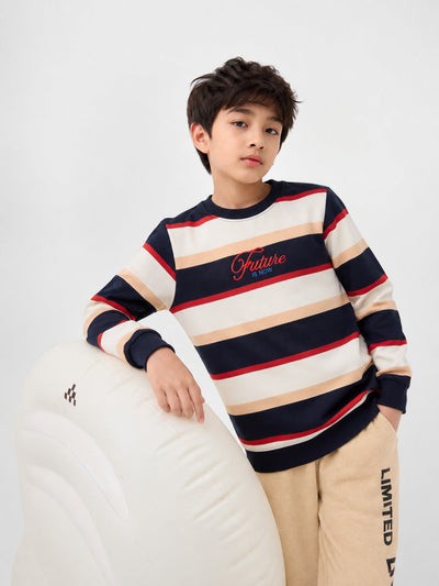 Multi Coloured Stripes Regular Fit Sweatshirt