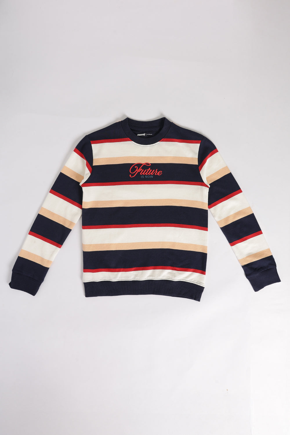 Multi Coloured Stripes Regular Fit Sweatshirt