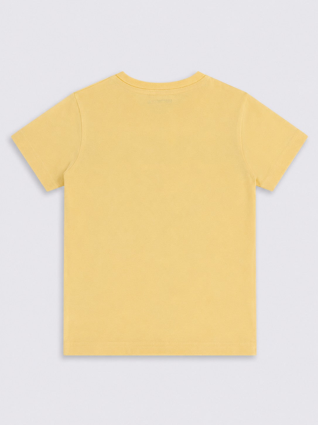Boys Yellow Typographic Cotton Regular Fit T-Shirt