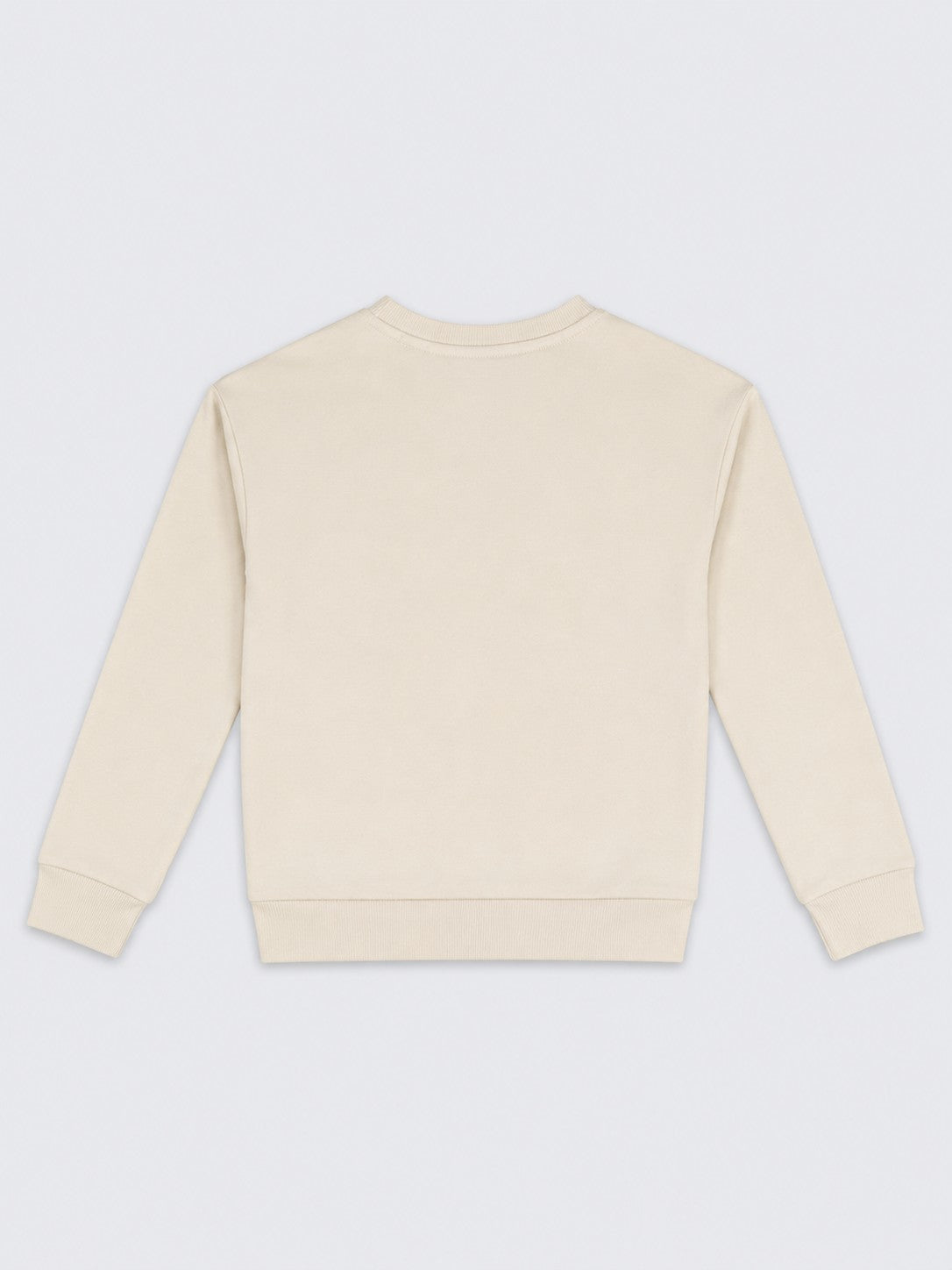 Girls Off White Embroidered Floral Regular Fit Sweatshirt