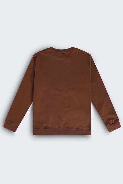 Tweens Boys Brown Graphic Regular Fit Sweatshirt