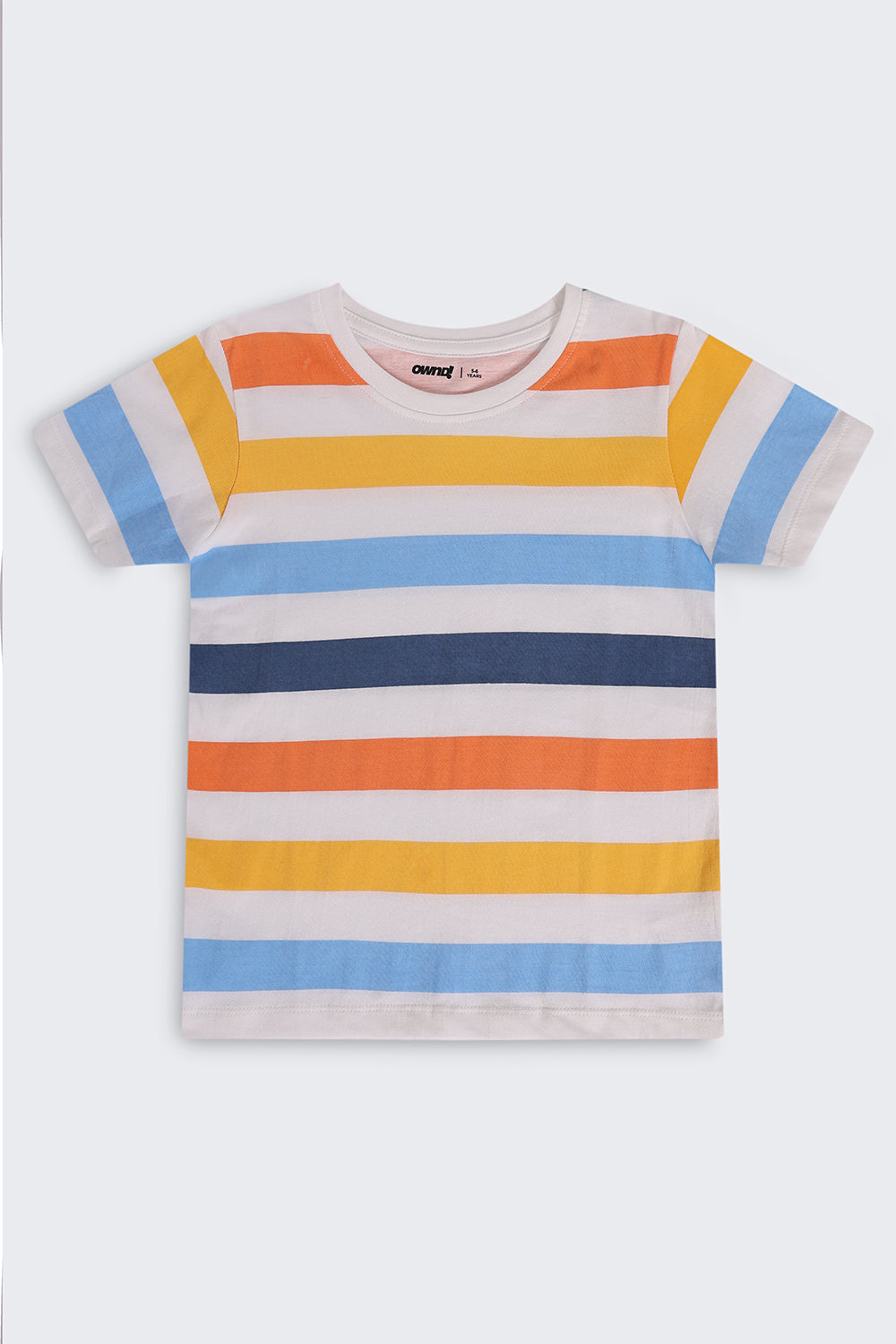 Multi Coloured Cotton Regular Fit T-Shirt For Boys