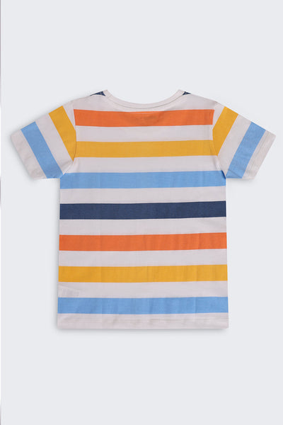 Multi Coloured Cotton Regular Fit T-Shirt For Boys