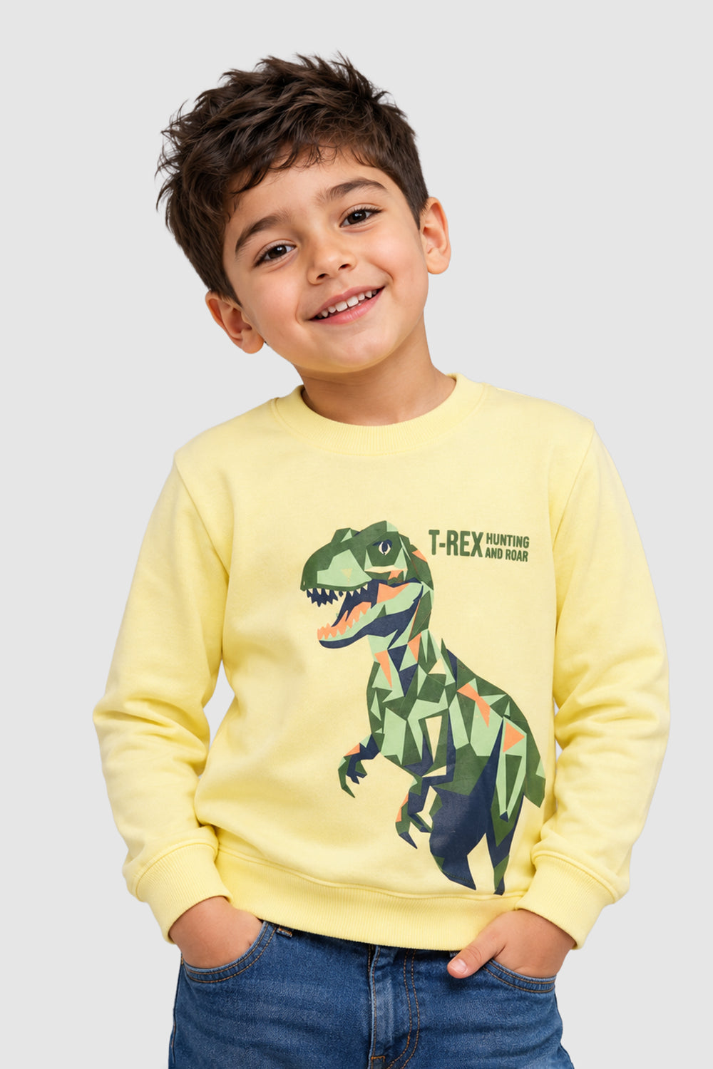 Yellow Dinosaur Print Regular Fit Sweatshirt For Boys