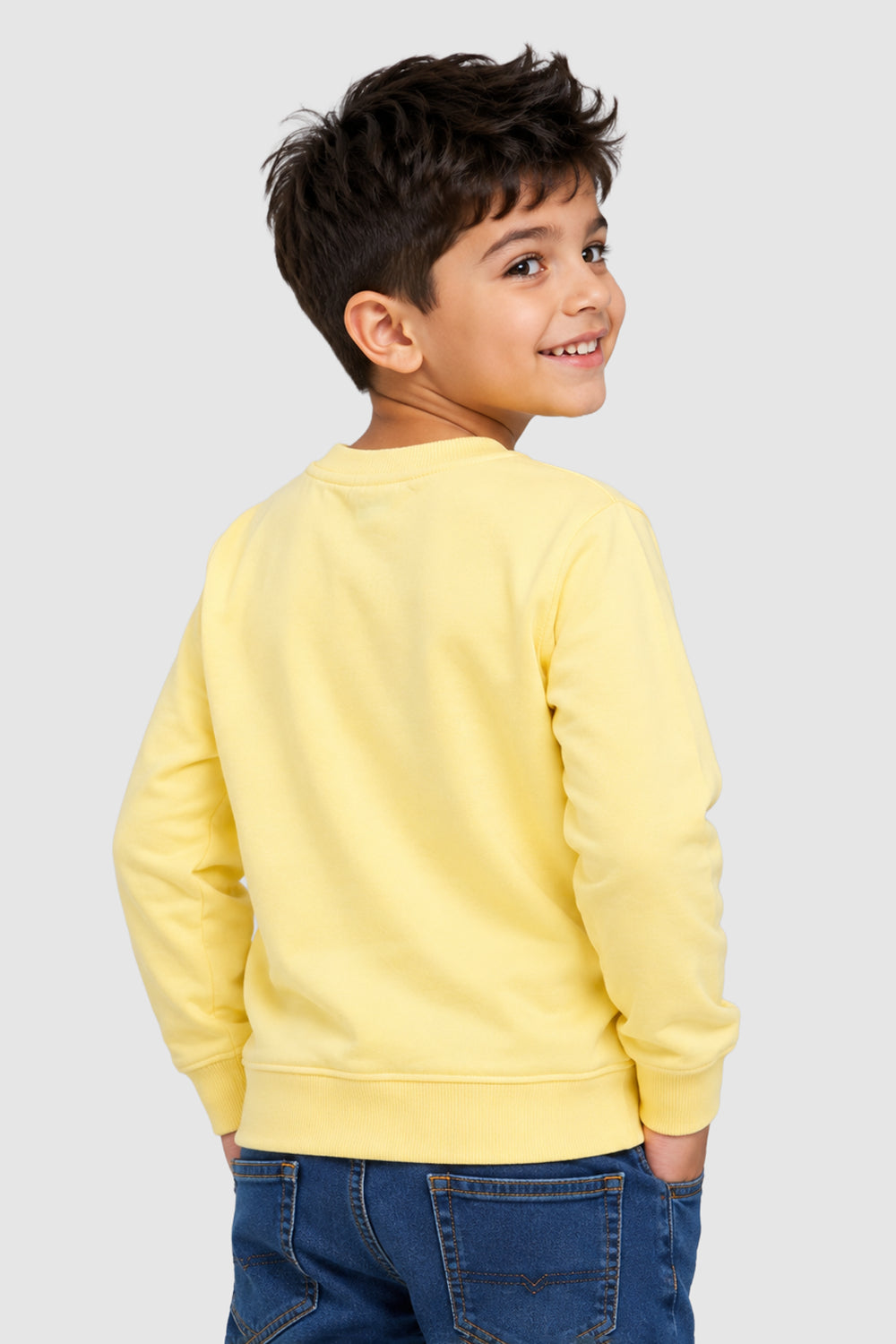 Yellow Dinosaur Print Regular Fit Sweatshirt For Boys