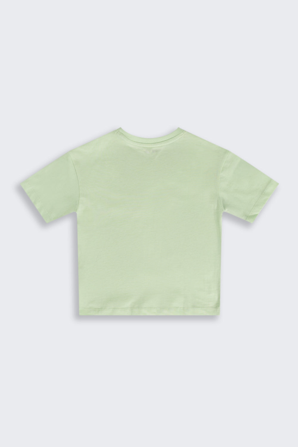 Light Green Graphic Regular Fit T-Shirt For Boys