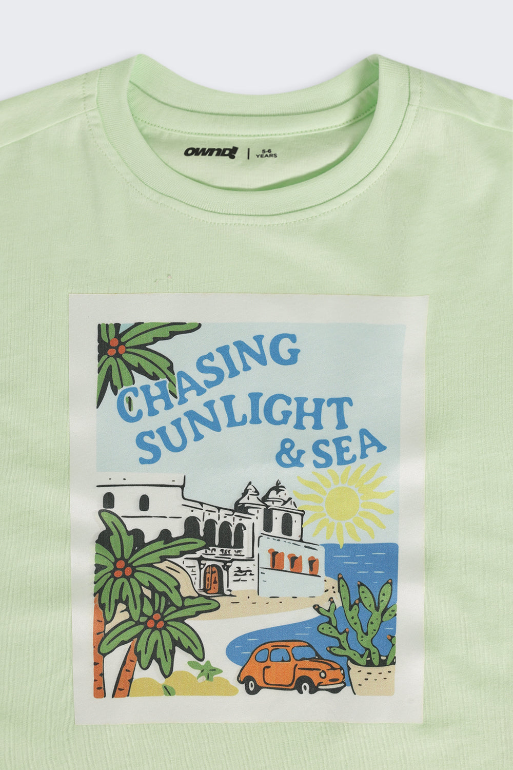 Light Green Graphic Regular Fit T-Shirt For Boys