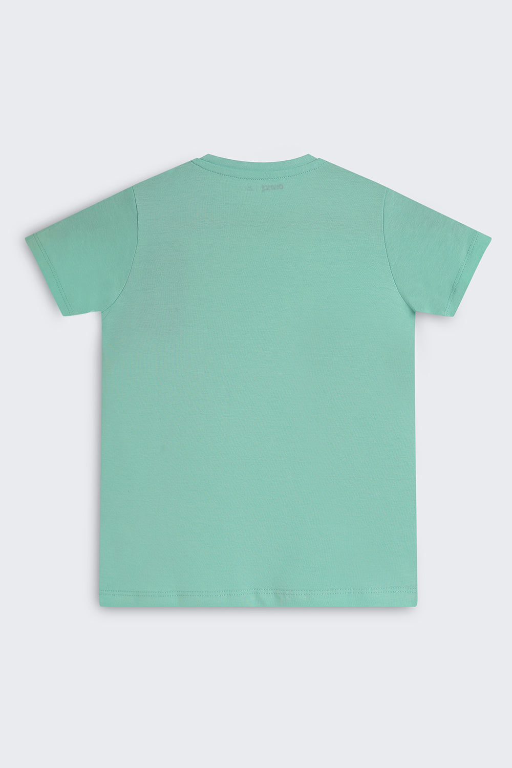 Green Cotton Regular Fit T-Shirt For Boys