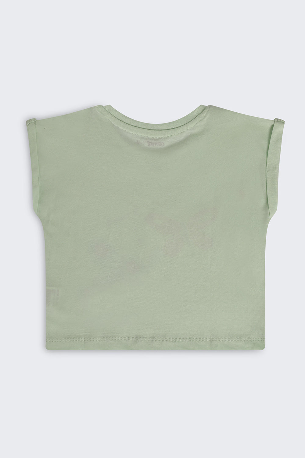 Light Green Butterfly Graphic Boxy Fit T-Shirt For Girls