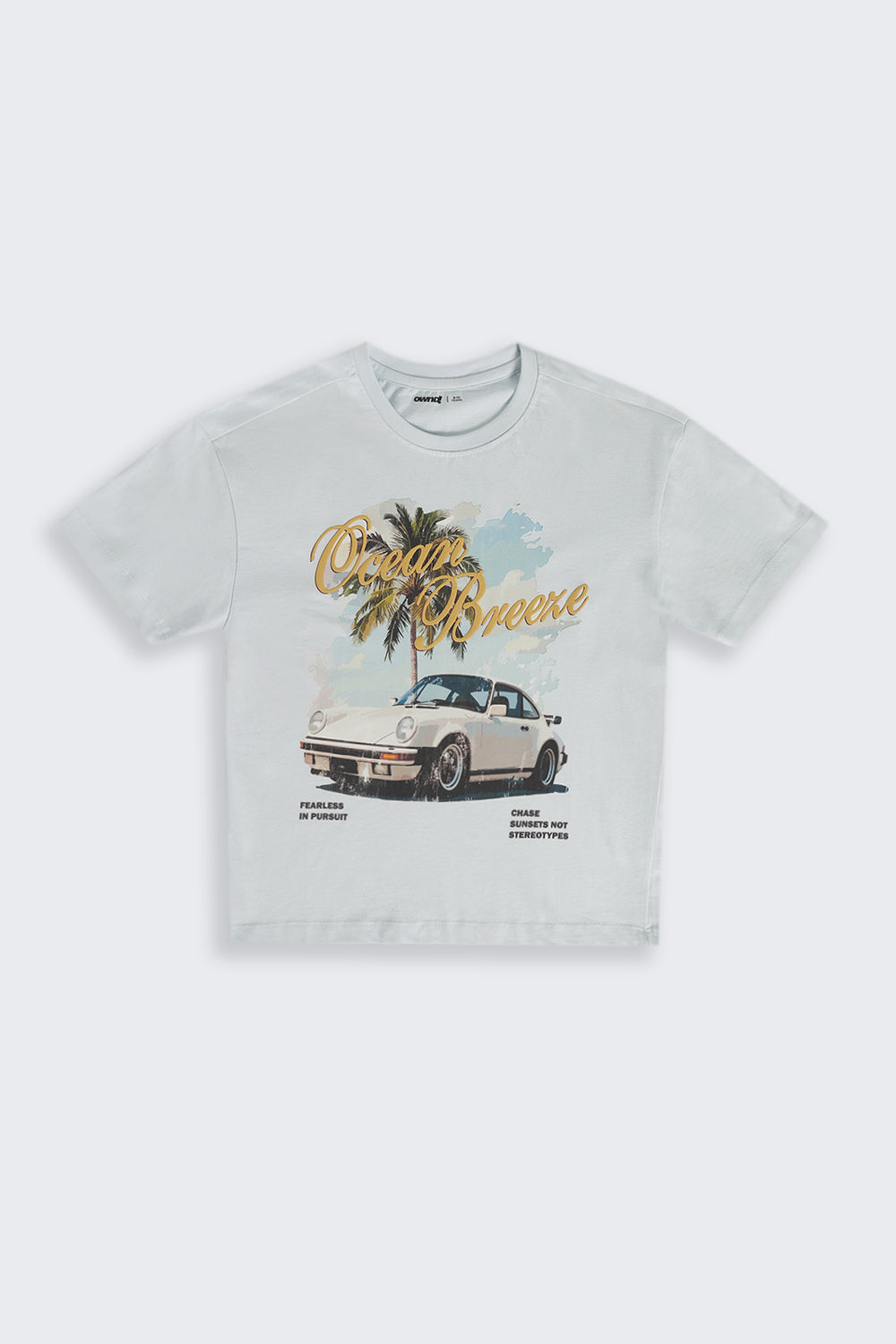 Light Blue Graphic Regular Fit T-Shirt For Tweens Boys