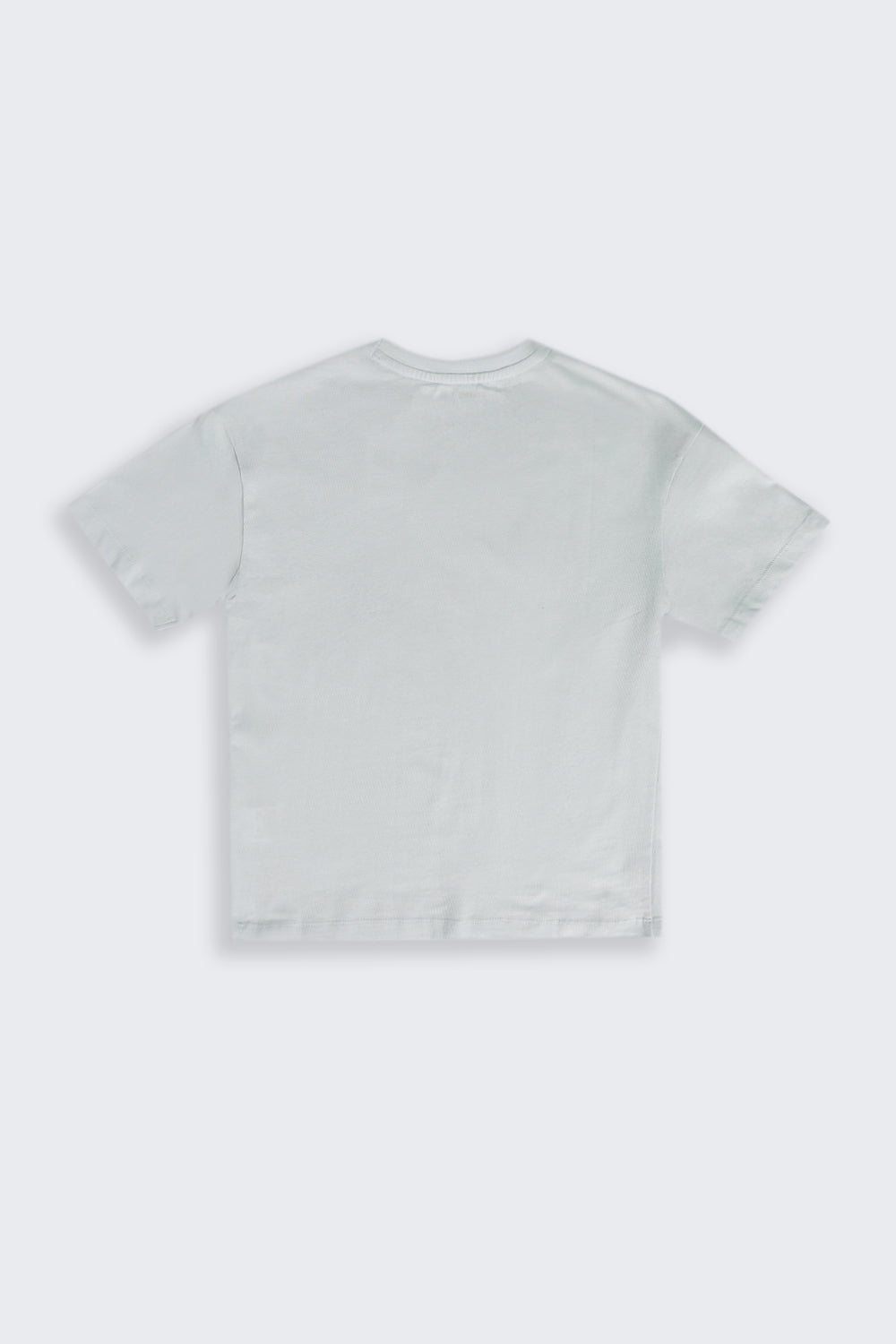Light Blue Graphic Regular Fit T-Shirt For Tweens Boys