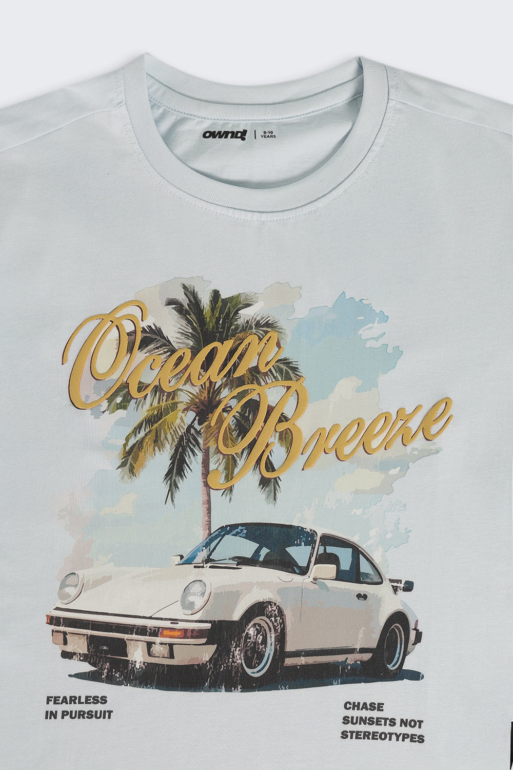 Light Blue Graphic Regular Fit T-Shirt For Tweens Boys