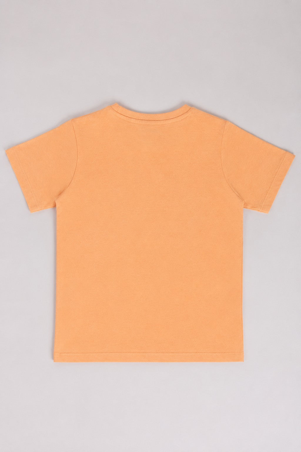 Tweens Boys Regular Fit Peach Graphic T-Shirt