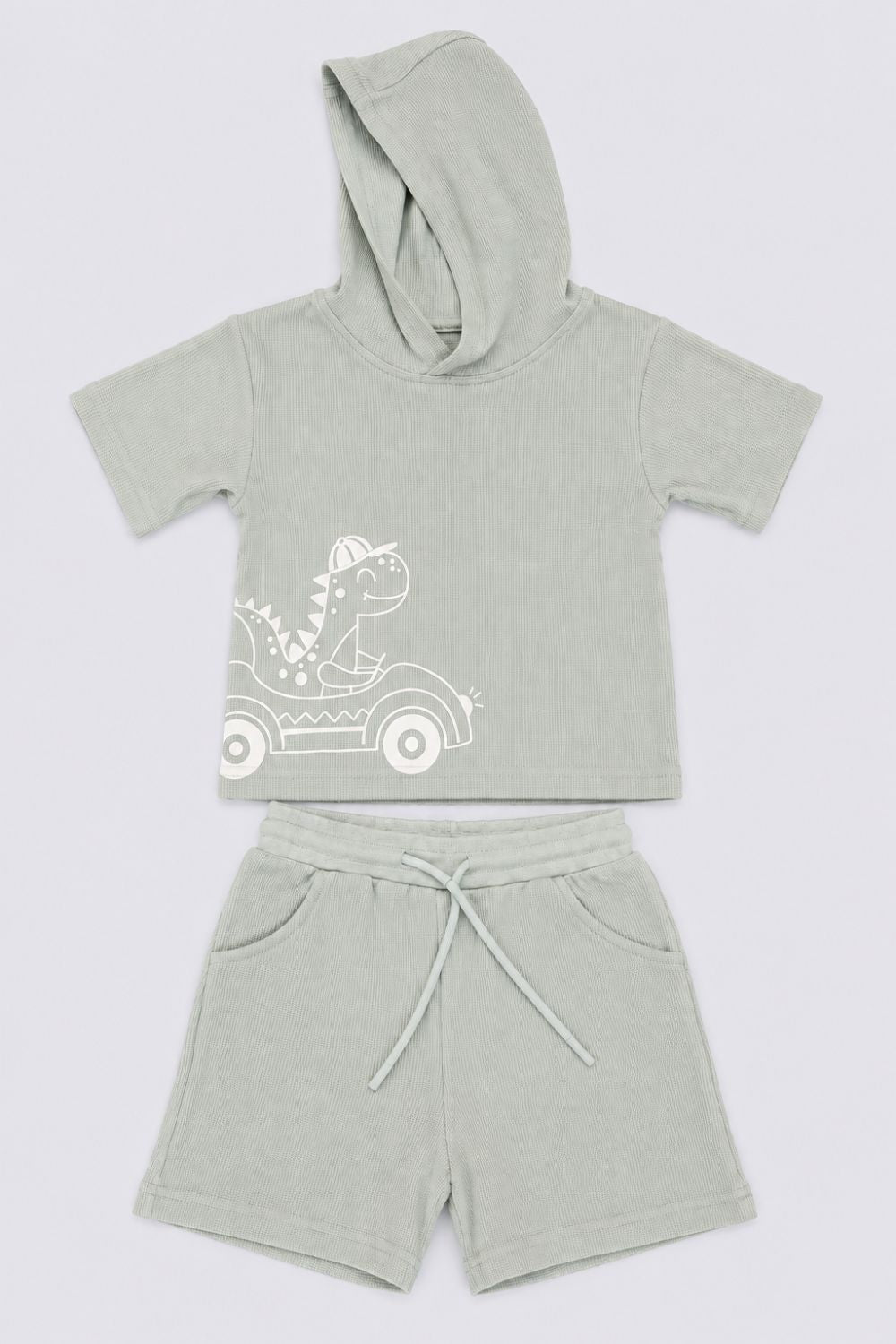 Infant Boys Green Dinosaur Embroidered Co-ord Sets