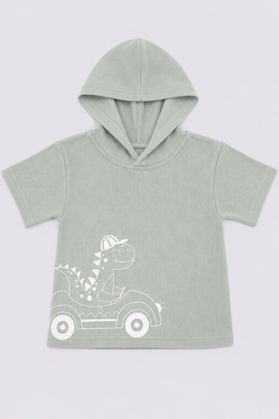 Infant Boys Green Dinosaur Embroidered Co-ord Sets