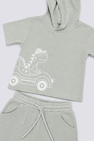 Infant Boys Green Dinosaur Embroidered Co-ord Sets