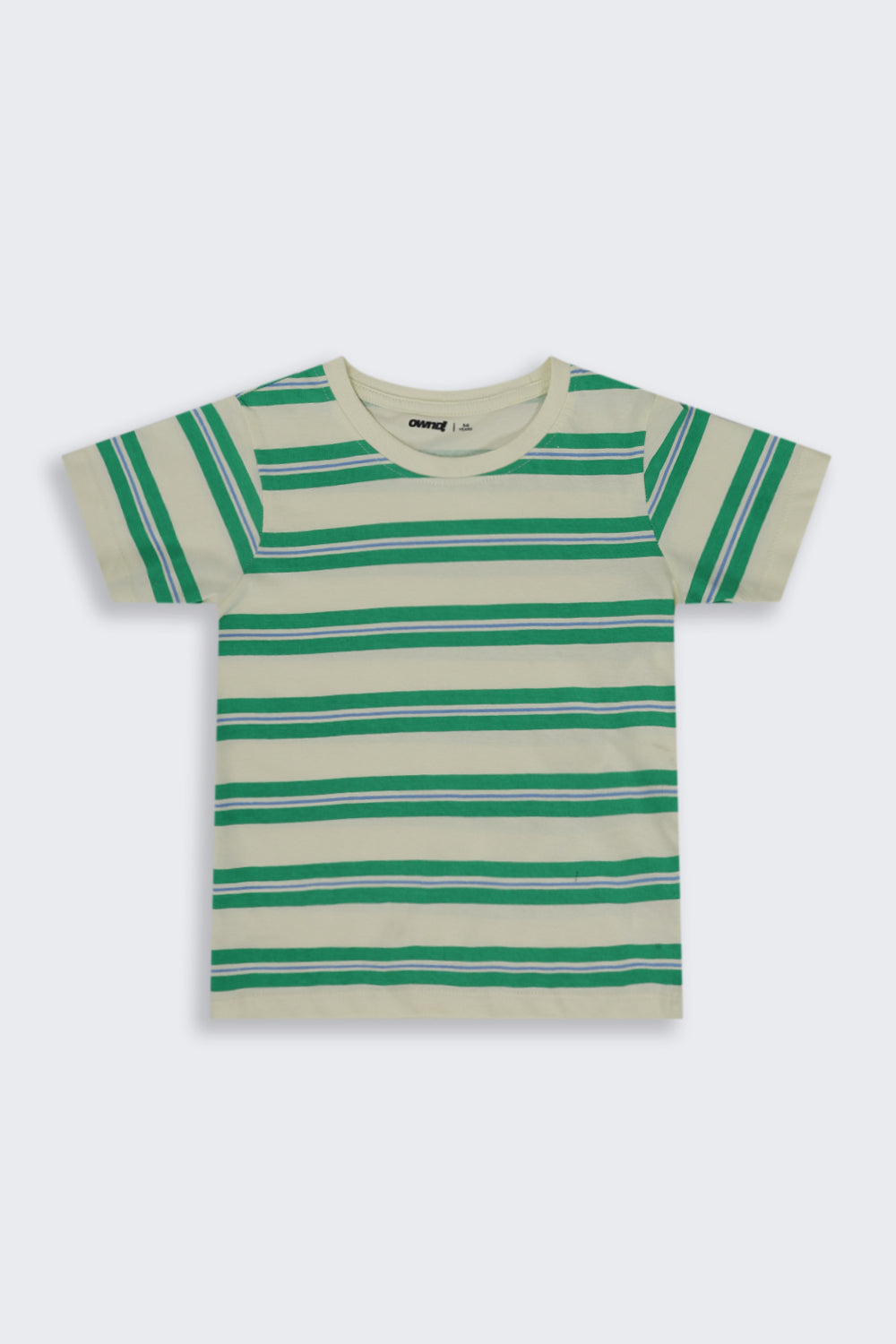 Boys Regular Fit Green Striped T-Shirt