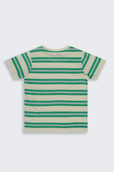 Boys Regular Fit Green Striped T-Shirt