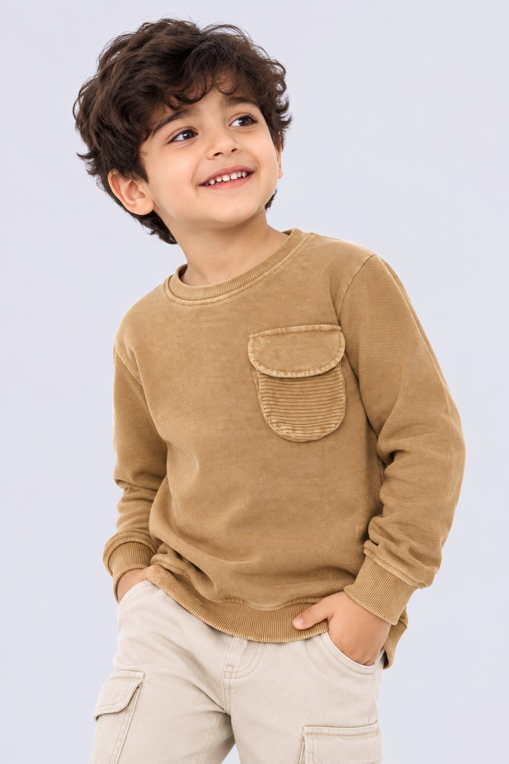 Boys Regular Fit Tan Solid Sweatshirt