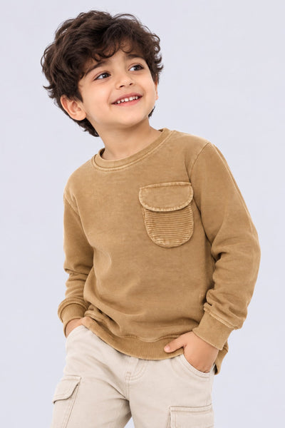 Boys Regular Fit Tan Solid Sweatshirt