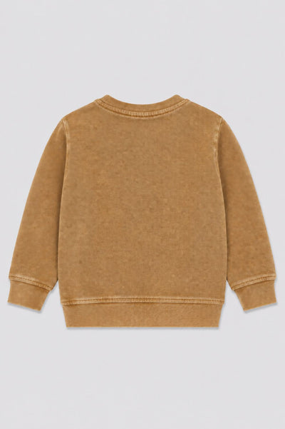 Boys Regular Fit Tan Solid Sweatshirt
