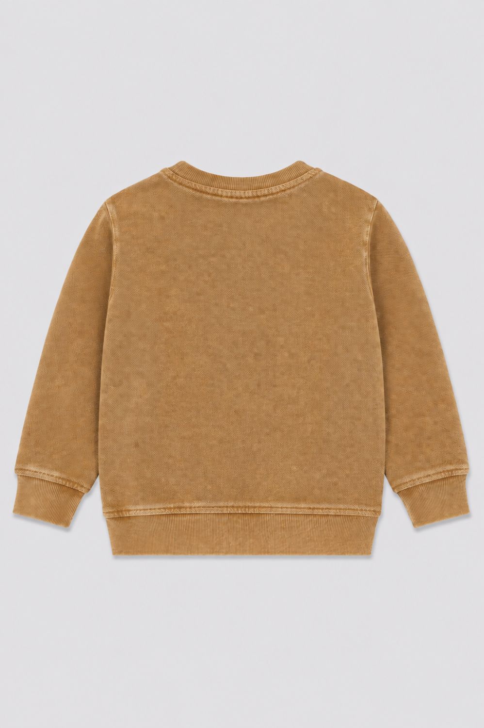 Boys Regular Fit Tan Solid Sweatshirt
